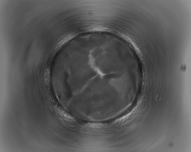 X0000100840825200806271110