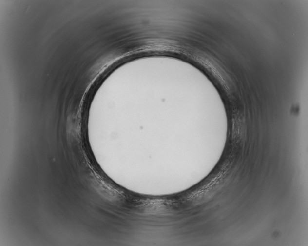 X0000100840828200806271110