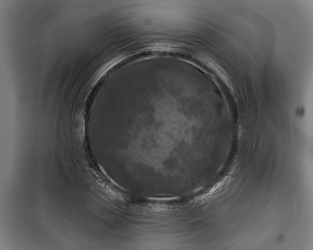 X0000100840829200806271110