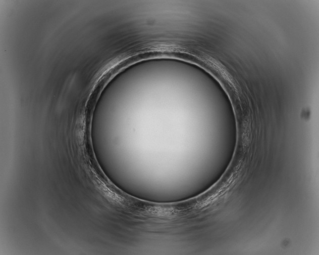 X0000100840831200806271110