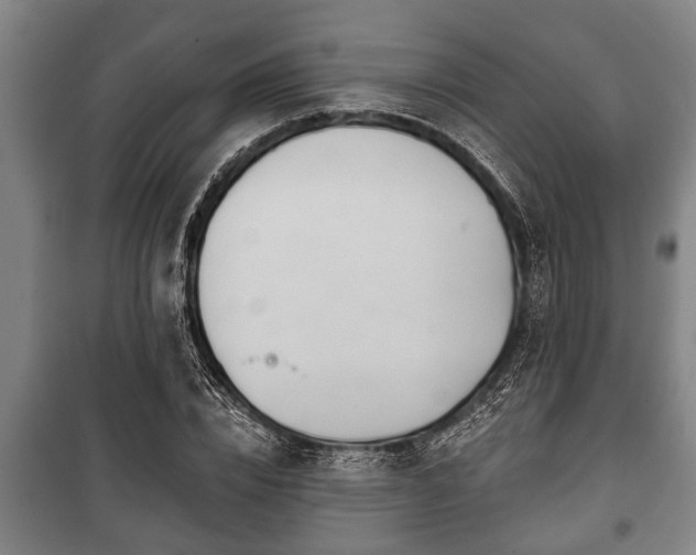 X0000100840832200806271110