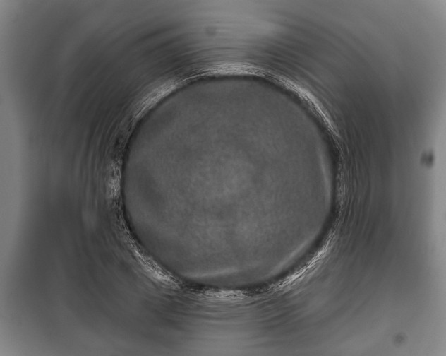 X0000100840833200806271110