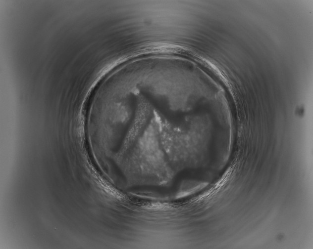 X0000100840835200806271110