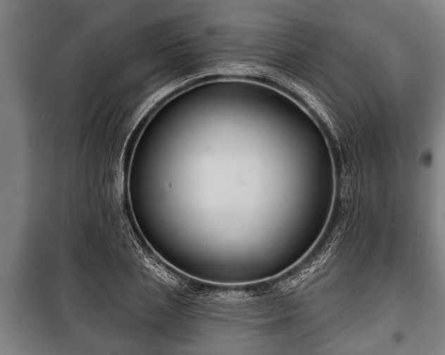 X0000100840837200806271110