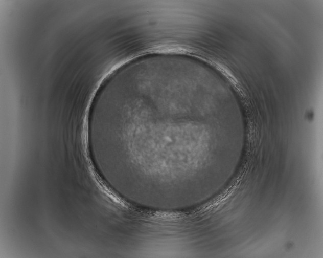 X0000100840840200806271110