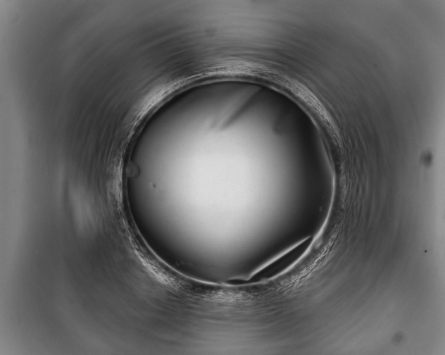 X0000100840842200806271110