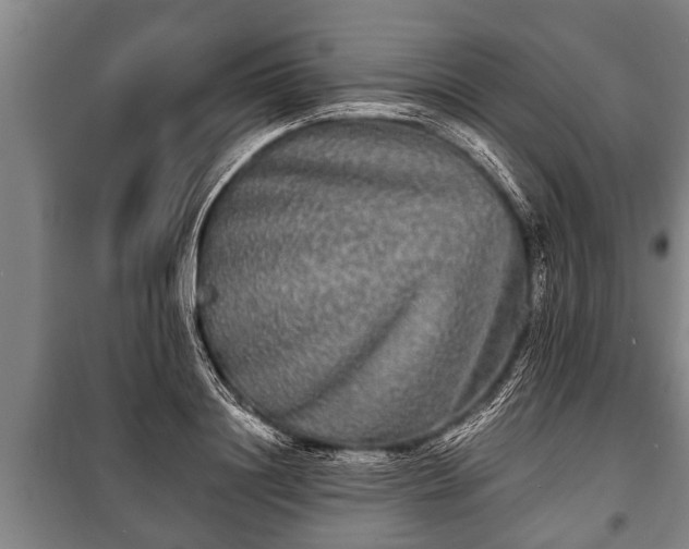 X0000100840844200806271111