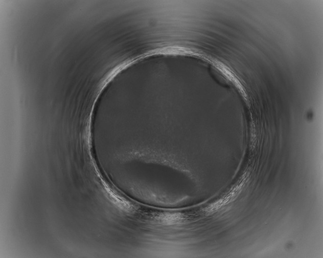 X0000100840845200806271111