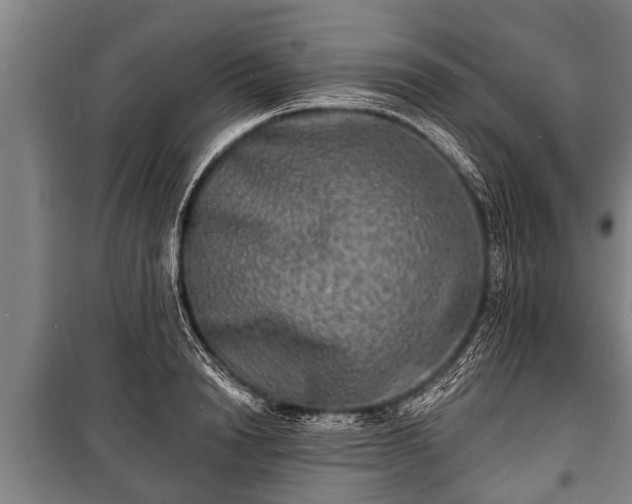 X0000100840846200806271111