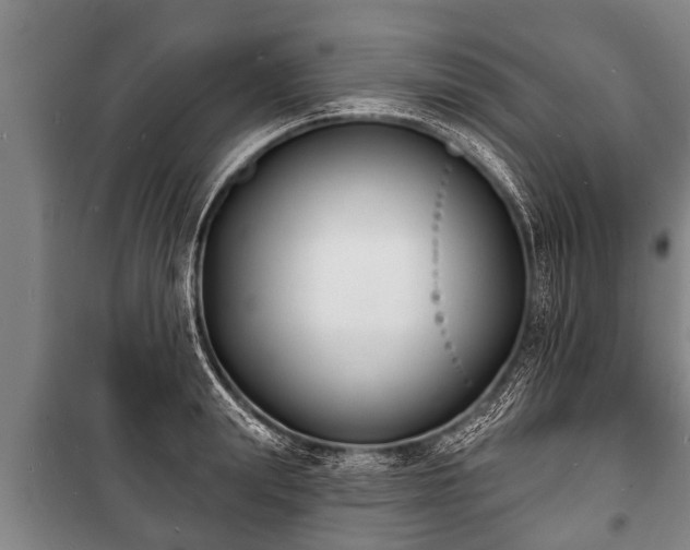 X0000100840847200806271111