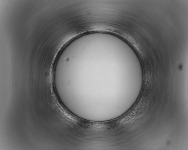 X0000100840848200806271111