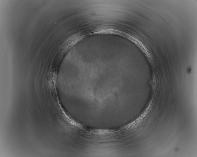 X0000100840849200806271111