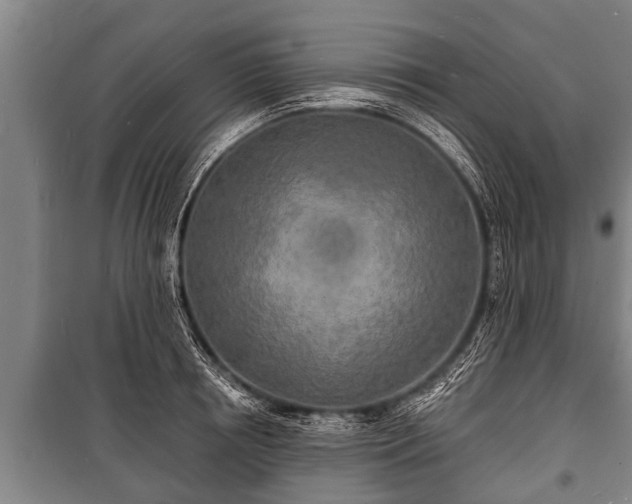 X0000100840850200806271111