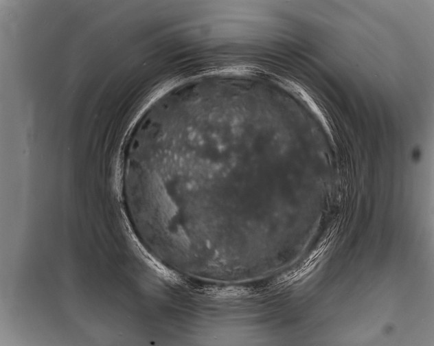 X0000100840851200806271111