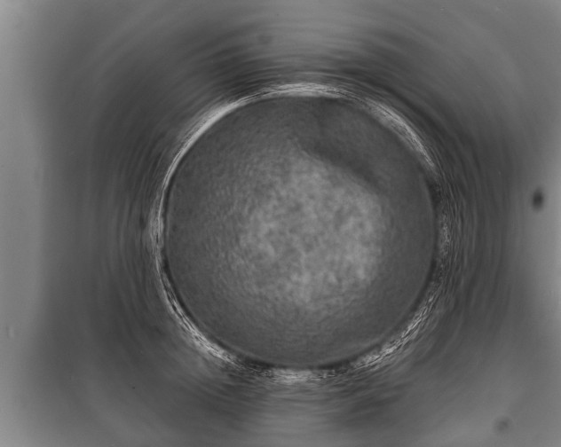 X0000100840852200806271111