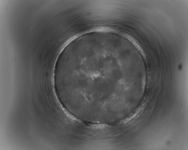 X0000100840853200806271111