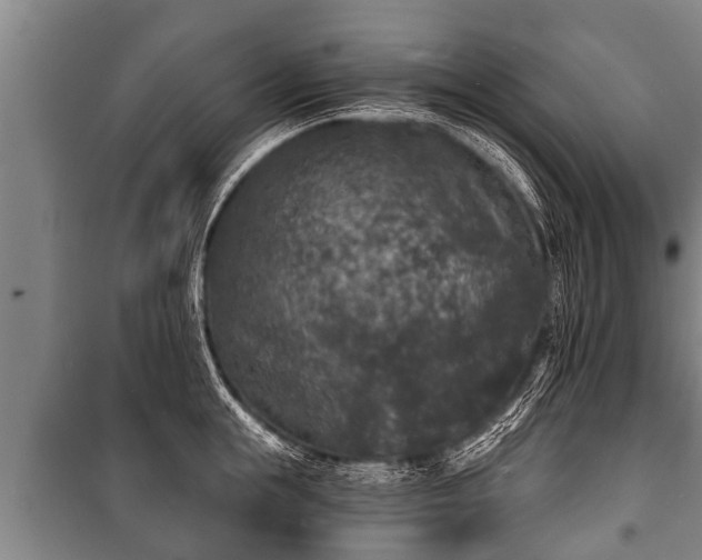 X0000100840855200806271111