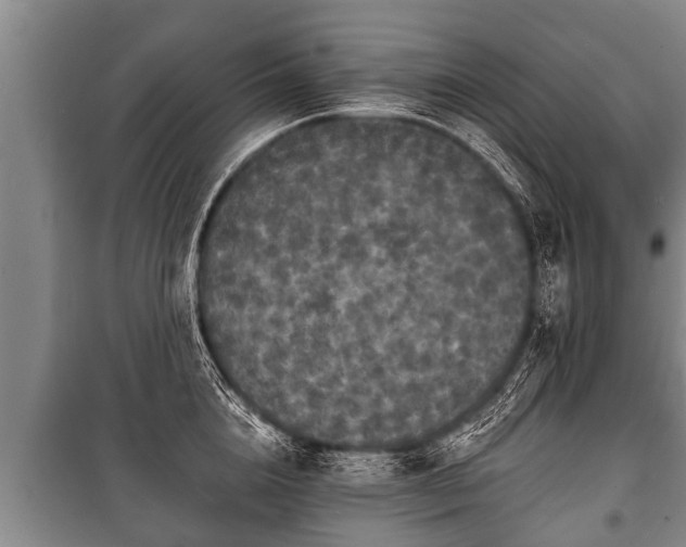 X0000100840856200806271111