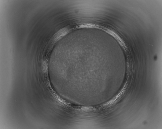 X0000100840857200806271111