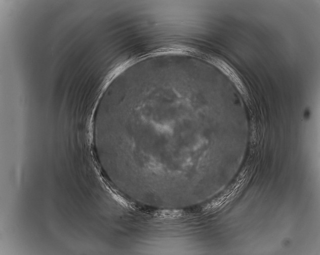 X0000100840858200806271111