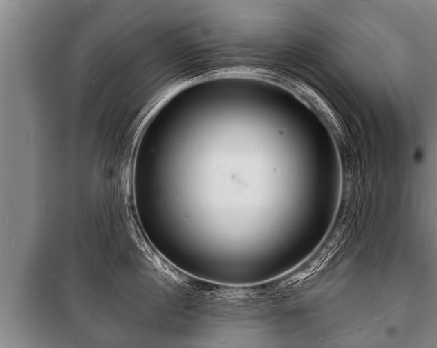 X0000100840860200806271111