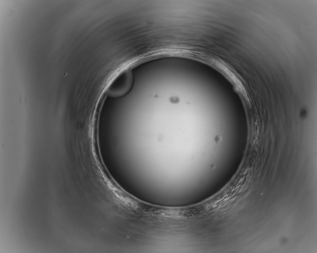 X0000100840861200806271111