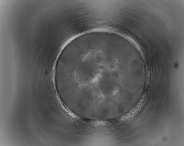 X0000100840862200806271111