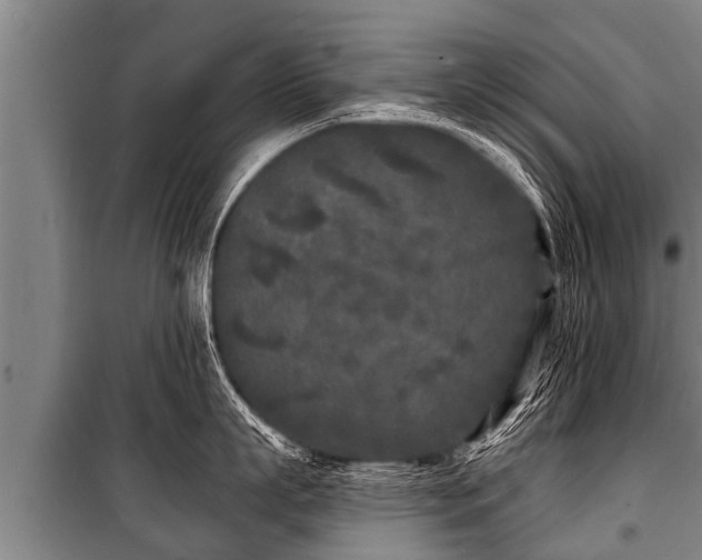 X0000100840863200806271111