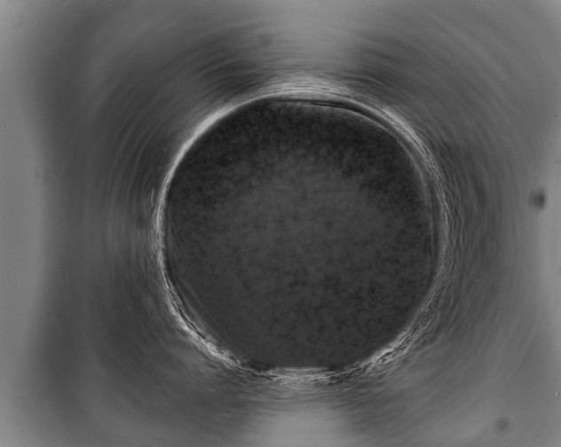 X0000100840864200806271111