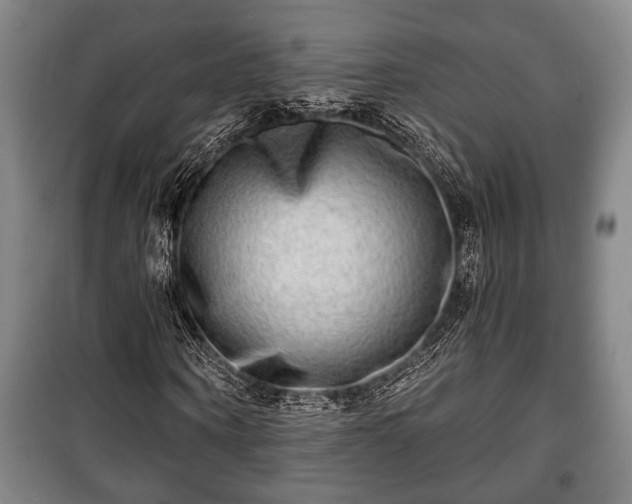 X0000100840866200806271110