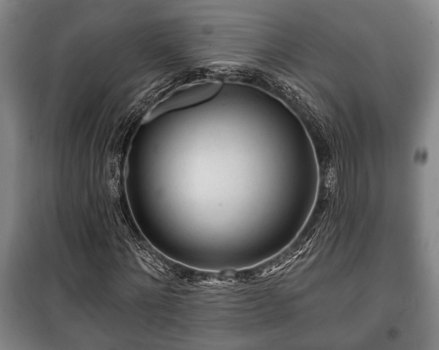 X0000100840868200806271110