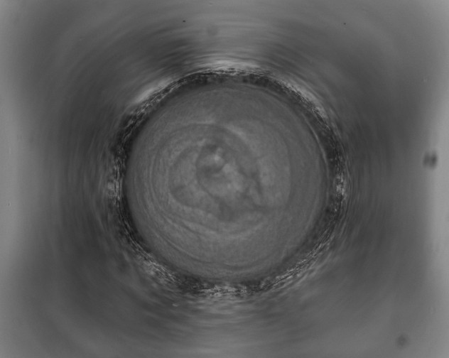 X0000100840869200806271110