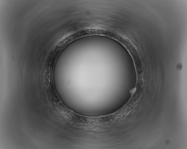 X0000100840870200806271110