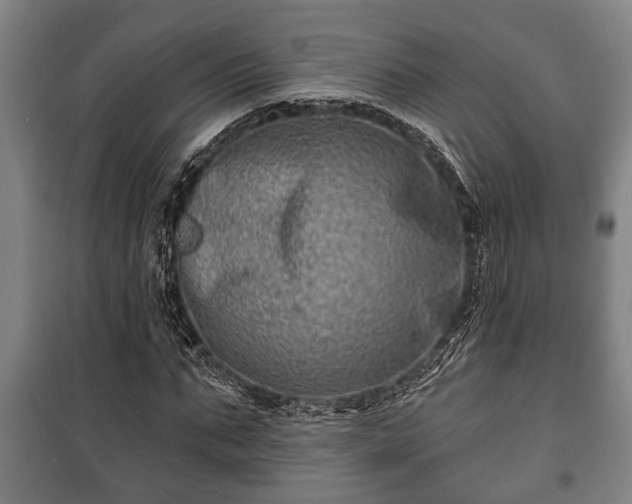 X0000100840871200806271110