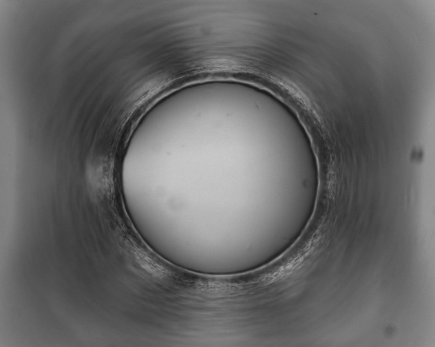 X0000100840873200806271110