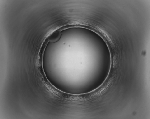 X0000100840876200806271110