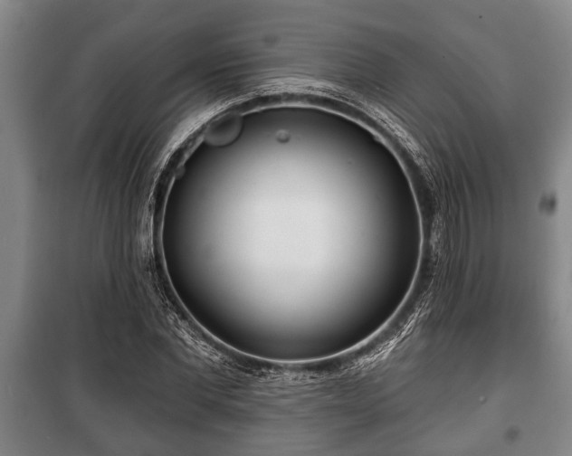 X0000100840877200806271110