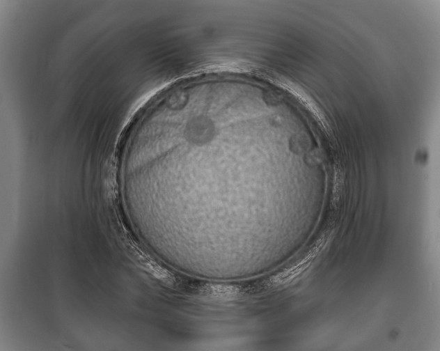 X0000100840878200806271110