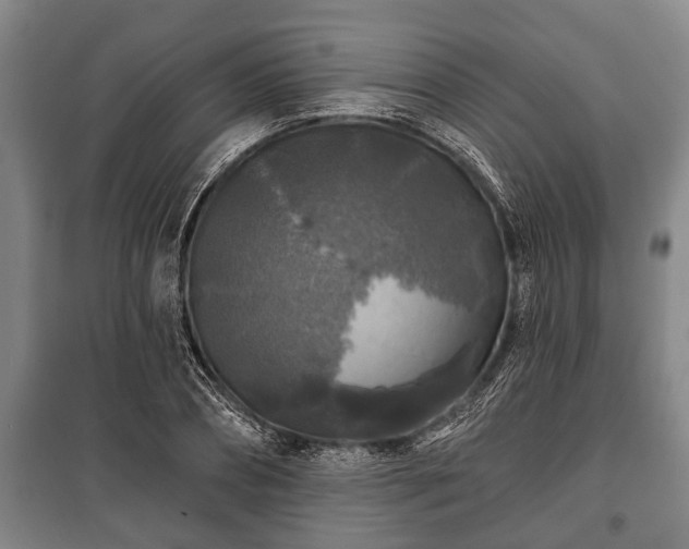 X0000100840882200806271110