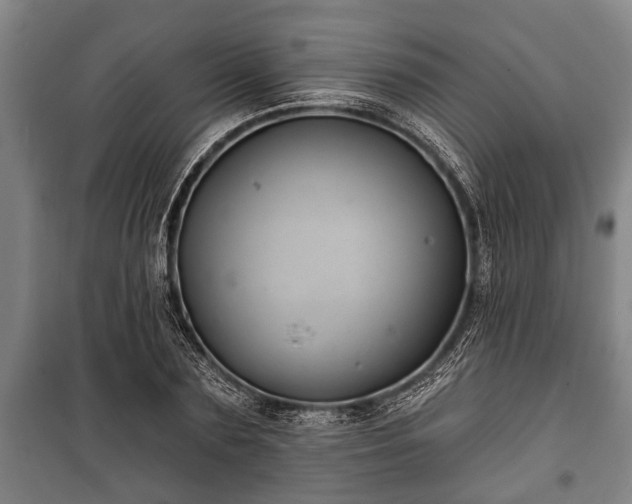 X0000100840883200806271110