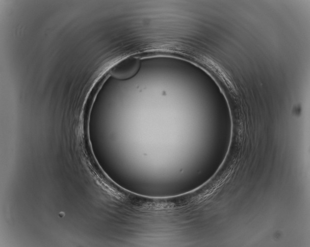 X0000100840884200806271110