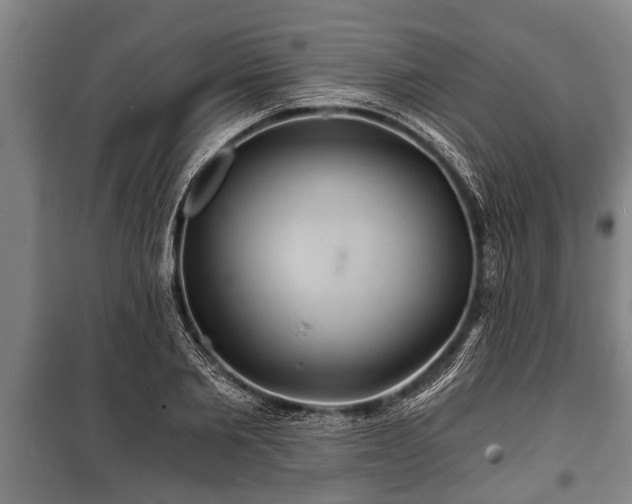 X0000100840885200806271110