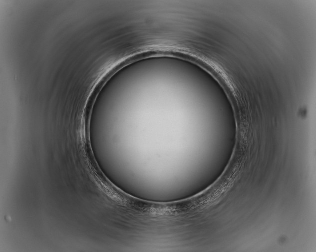 X0000100840887200806271110