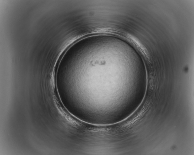 X0000100840892200806271110