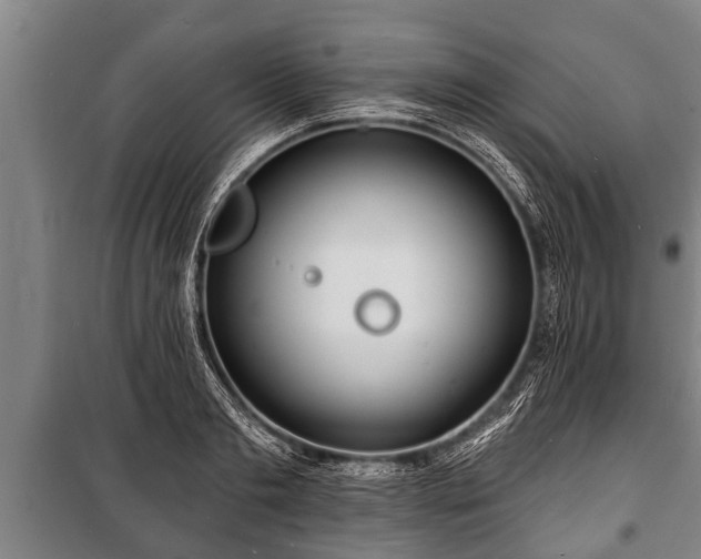 X0000100840893200806271110