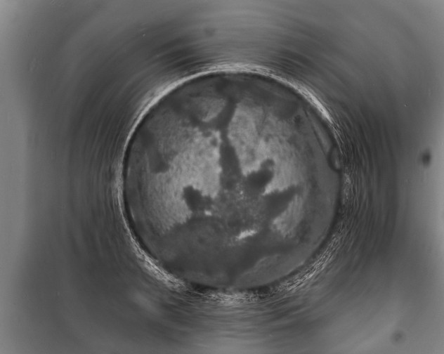 X0000100840895200806271110