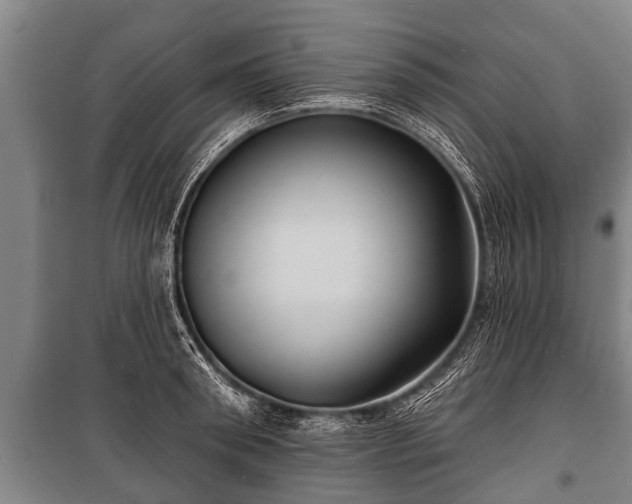 X0000100840898200806271109