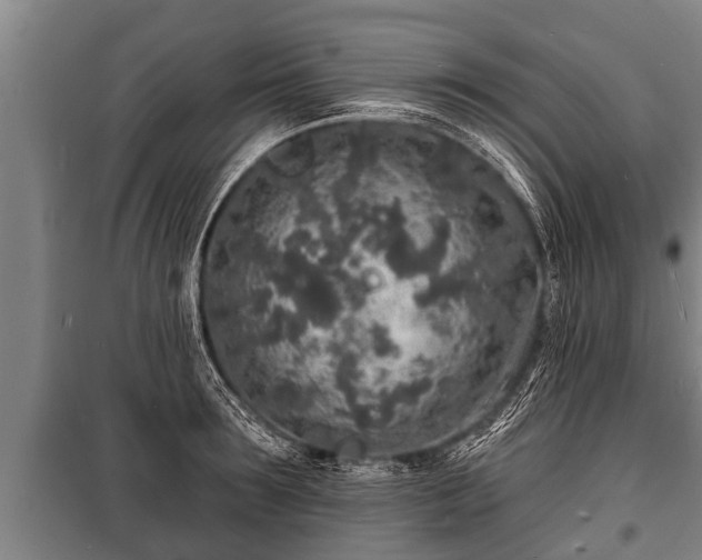 X0000100840899200806271109