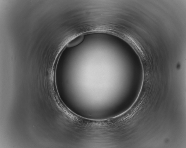 X0000100840900200806271109