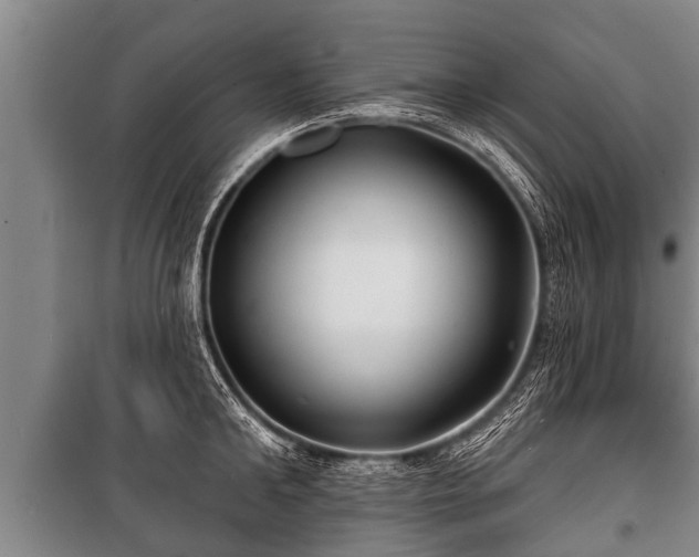 X0000100840902200806271109